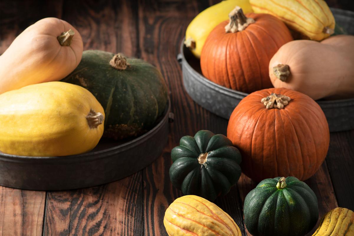 pumpkins and winter squash