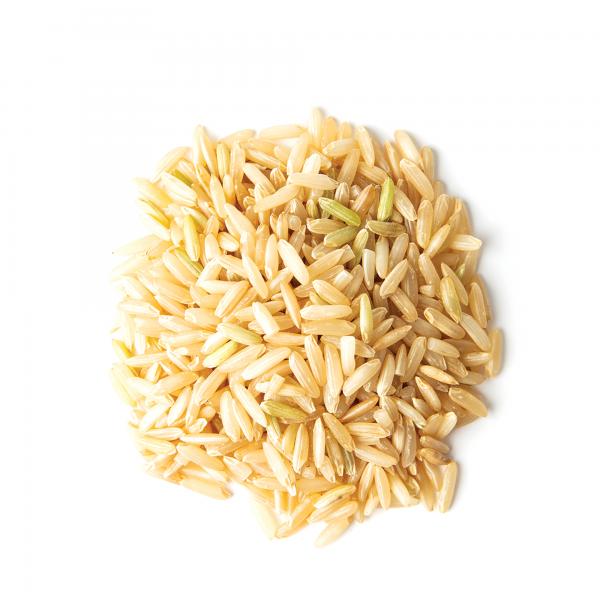 Small pile of uncooked brown rice grains