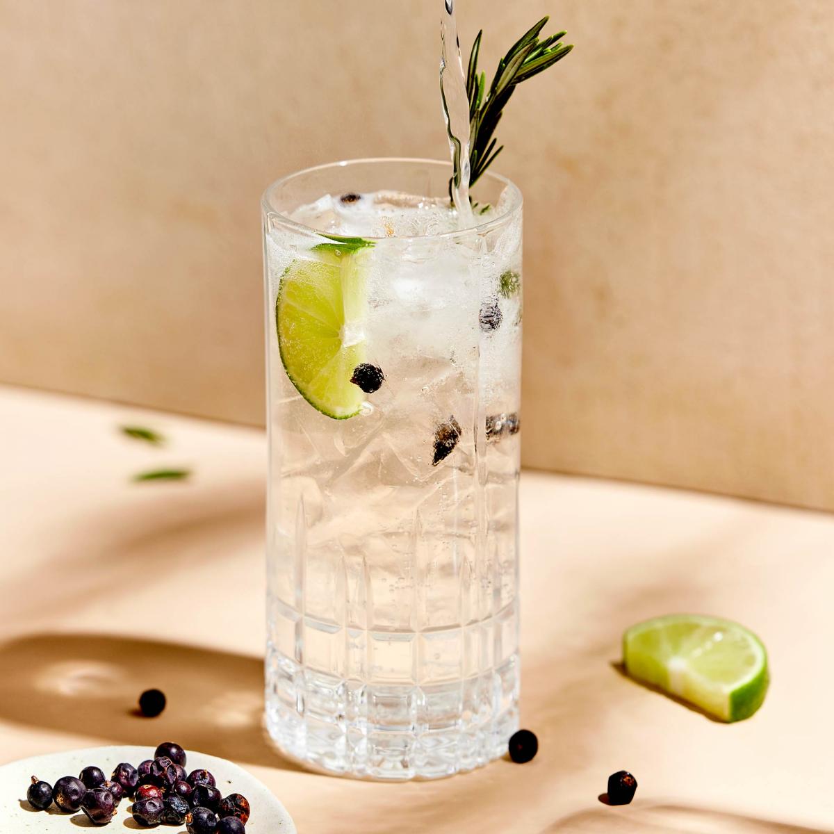 Rosemary Juniper Berry Gin & Tonic