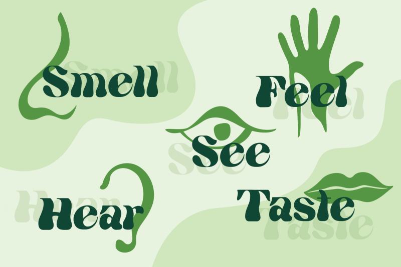 sustainability-senses-01